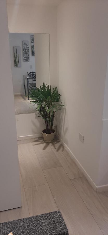 Coqueto Loft Palermo Hollywood Apartment Buenos Aires Luaran gambar